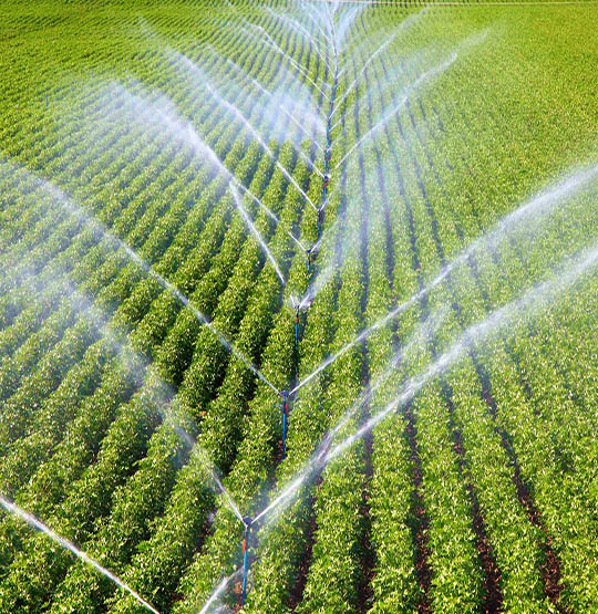 Sprinkler-Bewässerungssystem